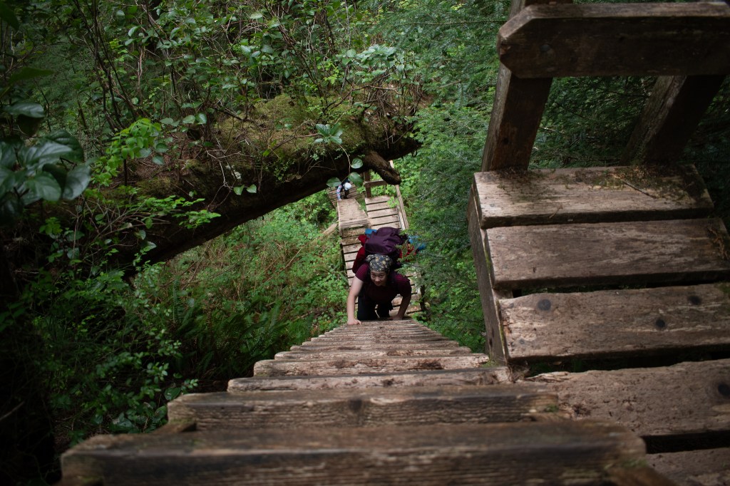 Walbran Creek
