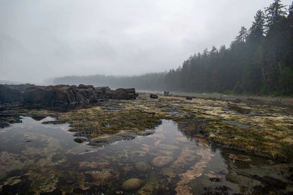 West Coast Trail